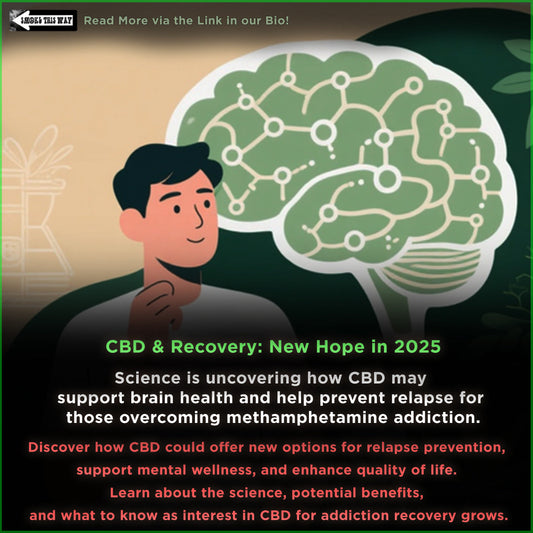 CBD May Help Prevent Meth Relapse & Addiction