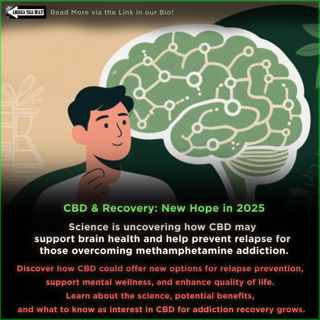 CBD May Help Prevent Meth Relapse & Addiction